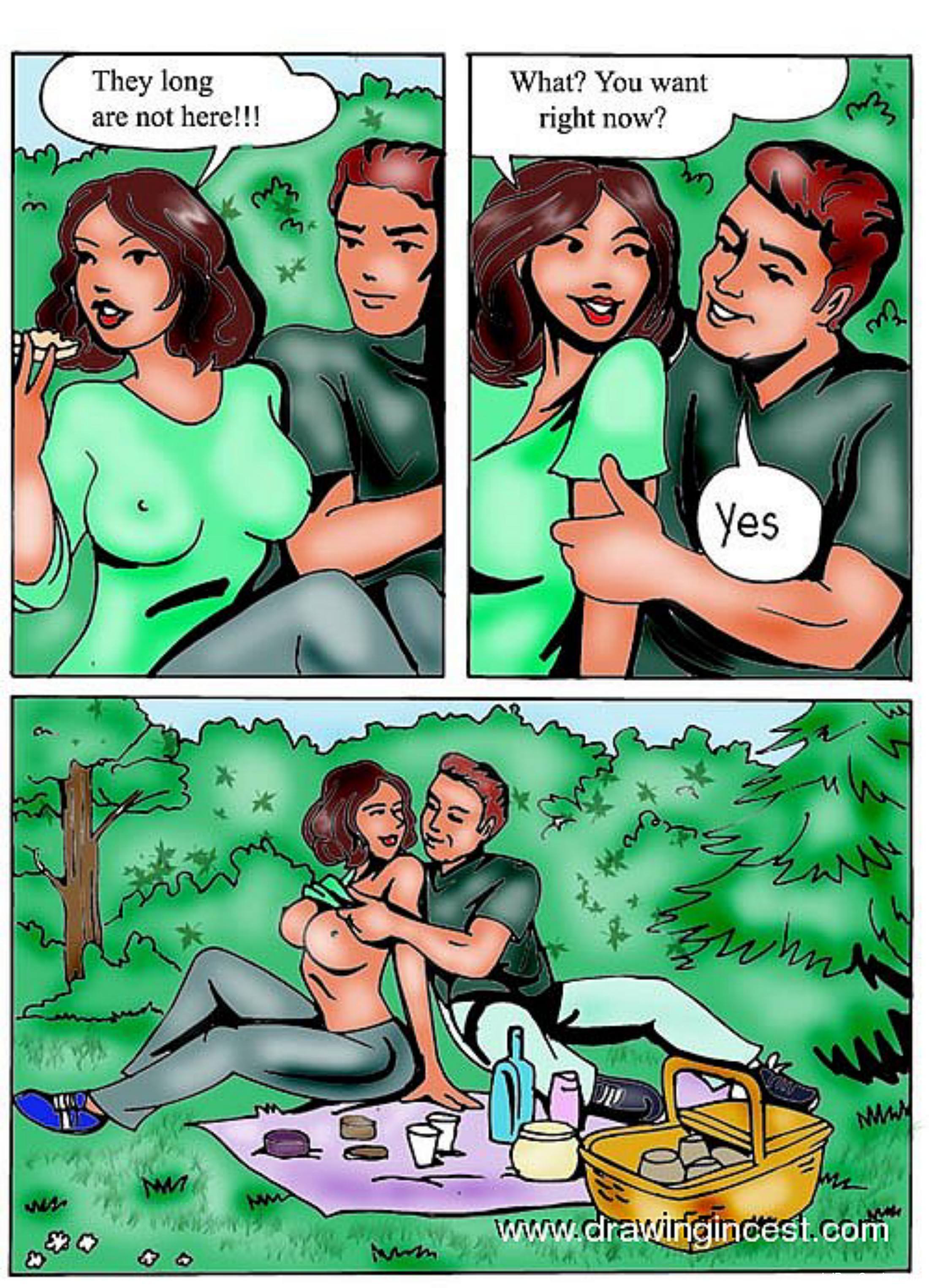 A Wonderful Picnic4 free sex comic